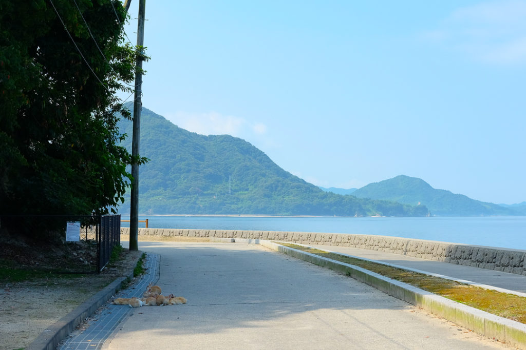 大久野島に到着