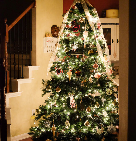 ツリー飾りました