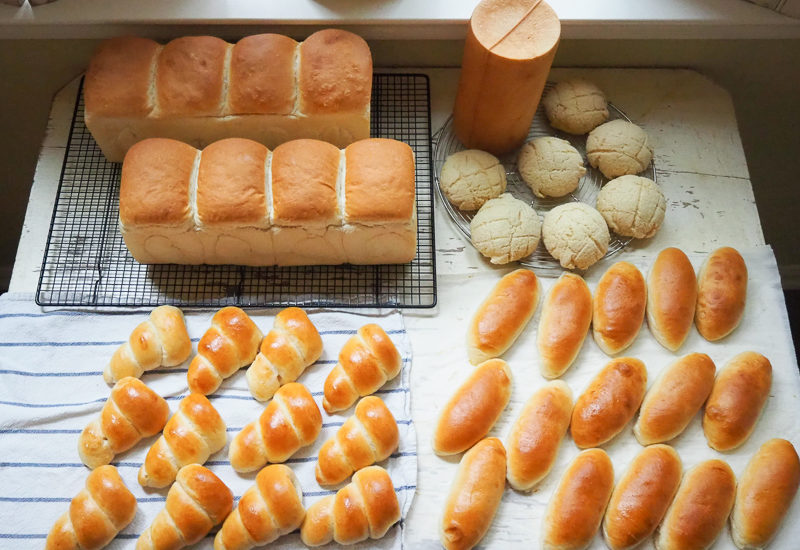 今週のパンたち