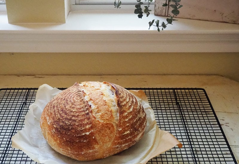 いつものサワードゥ