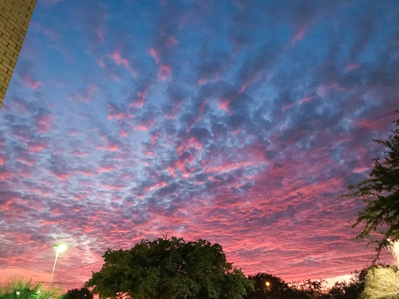 きれいな夕焼け