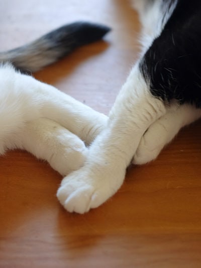 仕事しなくていい人たち