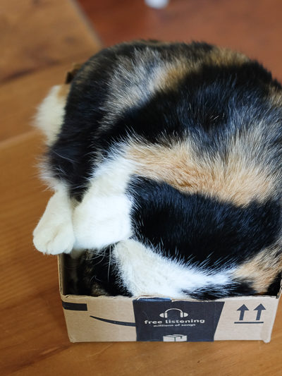 小さい箱好きなゆず