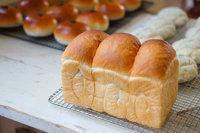 試作中の食パン